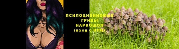 метадон Алексин