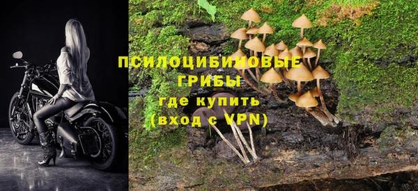 таблы Алексеевка