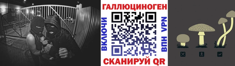 Галлюциногенные грибы Psilocybe  Агидель 
